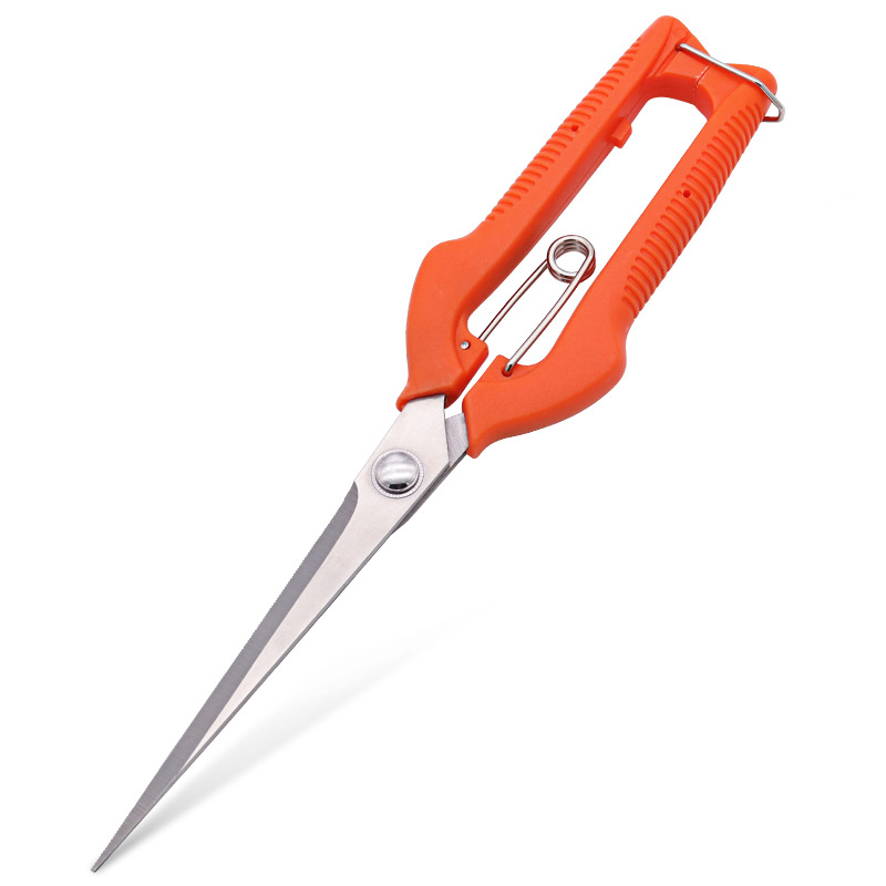 Bonsai Garden Knife - Grape Scissors Pruning Shears Garden Tool