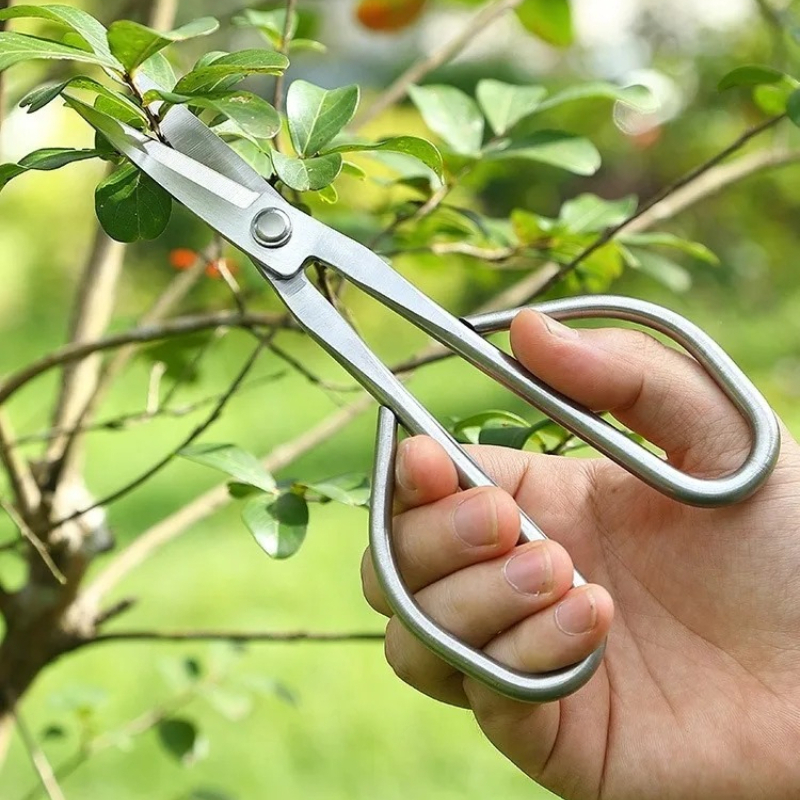Bonsai Garden Knife - Tender Leaf Scissors Bonsai Tools Branch