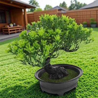 Bonsai Tree Zen Garden - Artificial Bonsai Pine Tree Lifelike Simulation