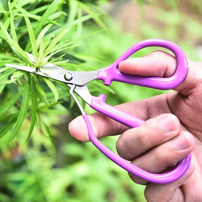 Bonsai Garden Knife - Stainless Steel Pruning Shear Curved Blade