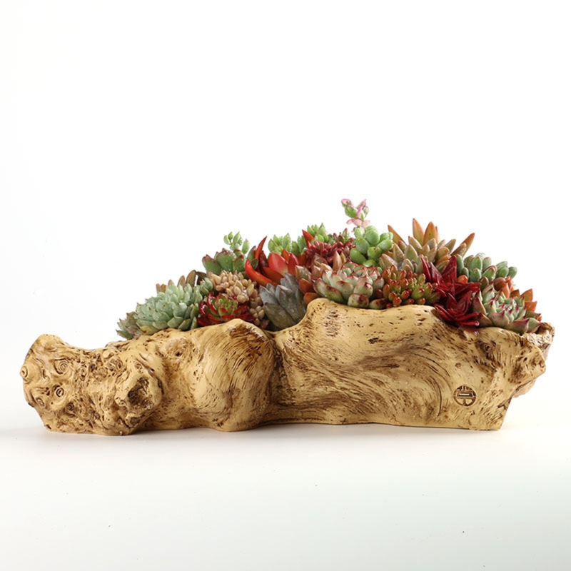 Pastoral Retro Landscape Flowe - Bonsai Tree Zen Garden avis et prix