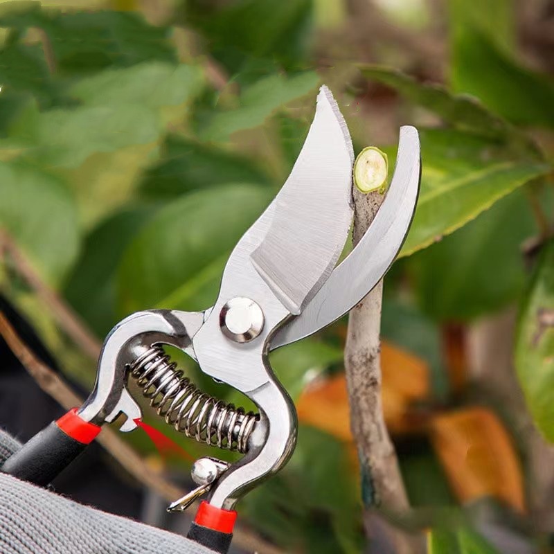 Pruner Garden Scissors Graftin - Bonsai Garden Knife avis et prix