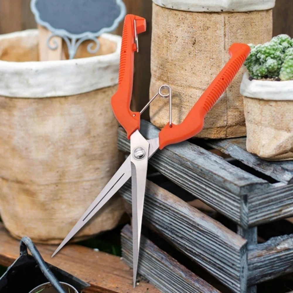 Professional Garden Pruning Sh - Bonsai Garden Knife avis et prix