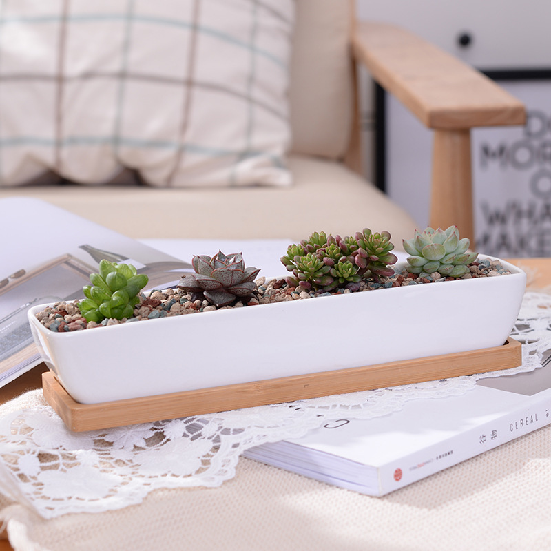 Long Rectangle White Ceramic S - Bonsai Tree Zen Garden avis et prix