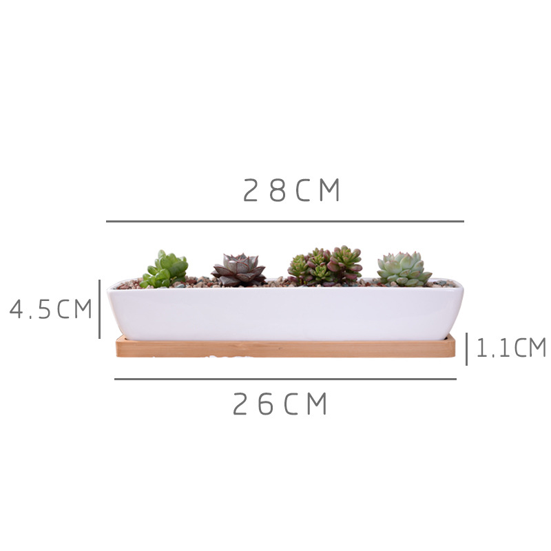 Long Rectangle White Ceramic S - Bonsai Tree Zen Garden avis et prix