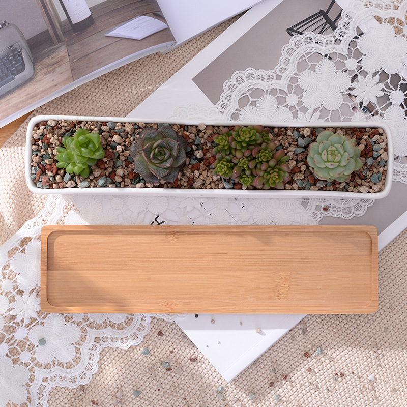 Long Rectangle White Ceramic S - Bonsai Tree Zen Garden avis et prix