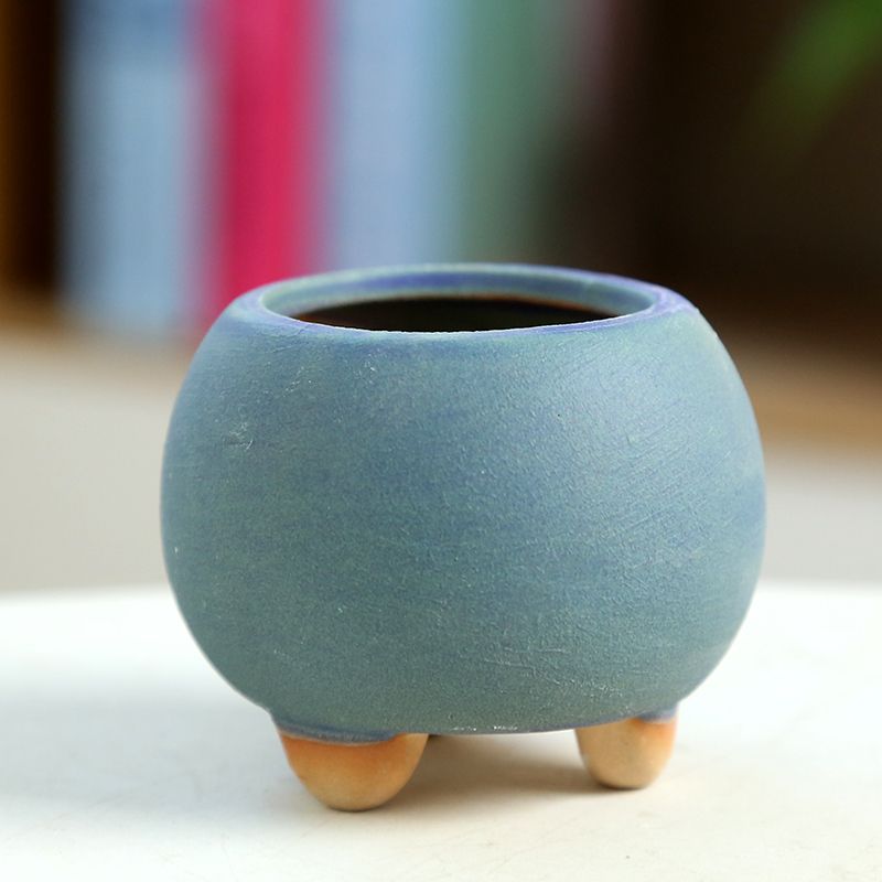 Mini Fleshy Flowerpot Ceramic， - Training Pot Ceramic avis et prix