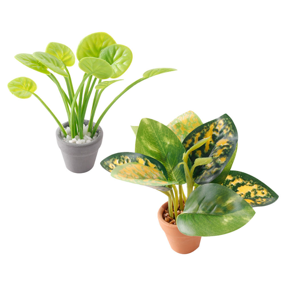 2Pcs Exquisite Miniature Bonsa - Bonsai Garden Desk avis et prix