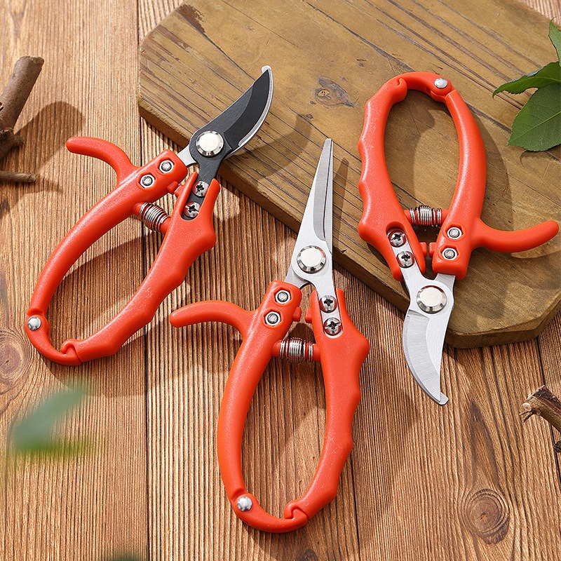 Gardening Branch Scissors Frui - Bonsai Garden Knife avis et prix