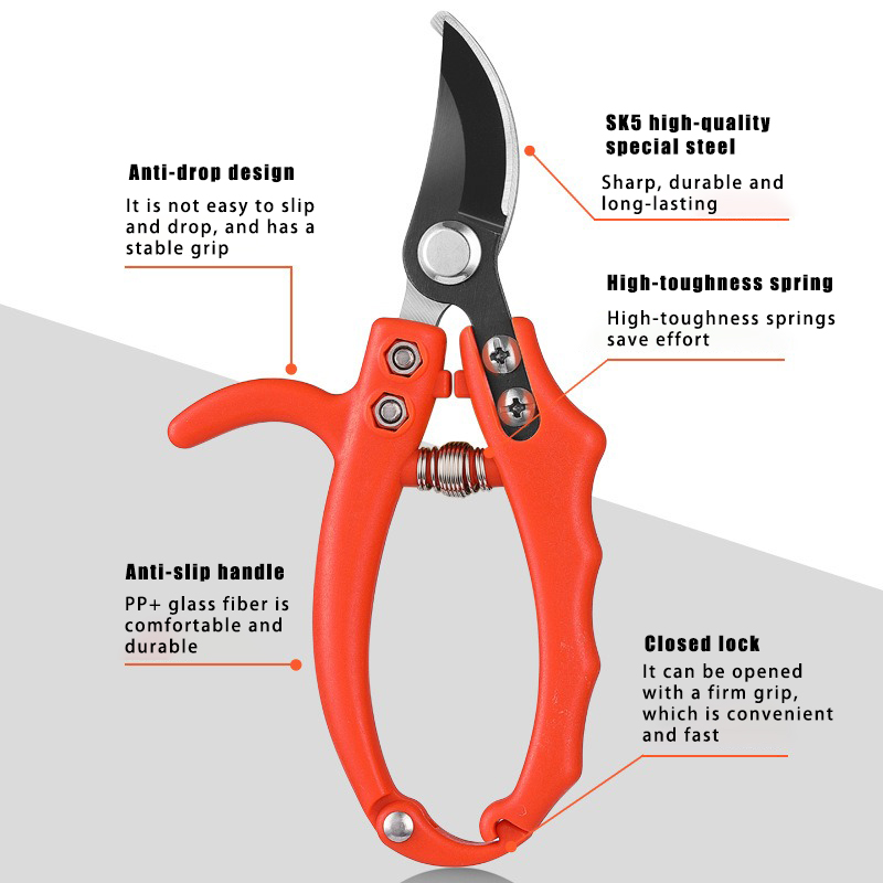 Gardening Branch Scissors Frui - Bonsai Garden Knife avis et prix