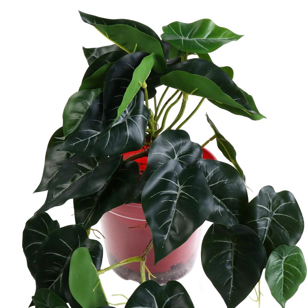 Tropical Nordic Desk Office Ga - Bonsai Garden Desk avis et prix