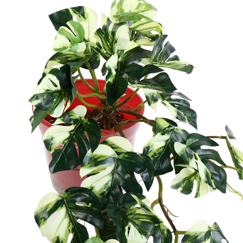 Tropical Nordic Desk Office Ga - Bonsai Garden Desk avis et prix
