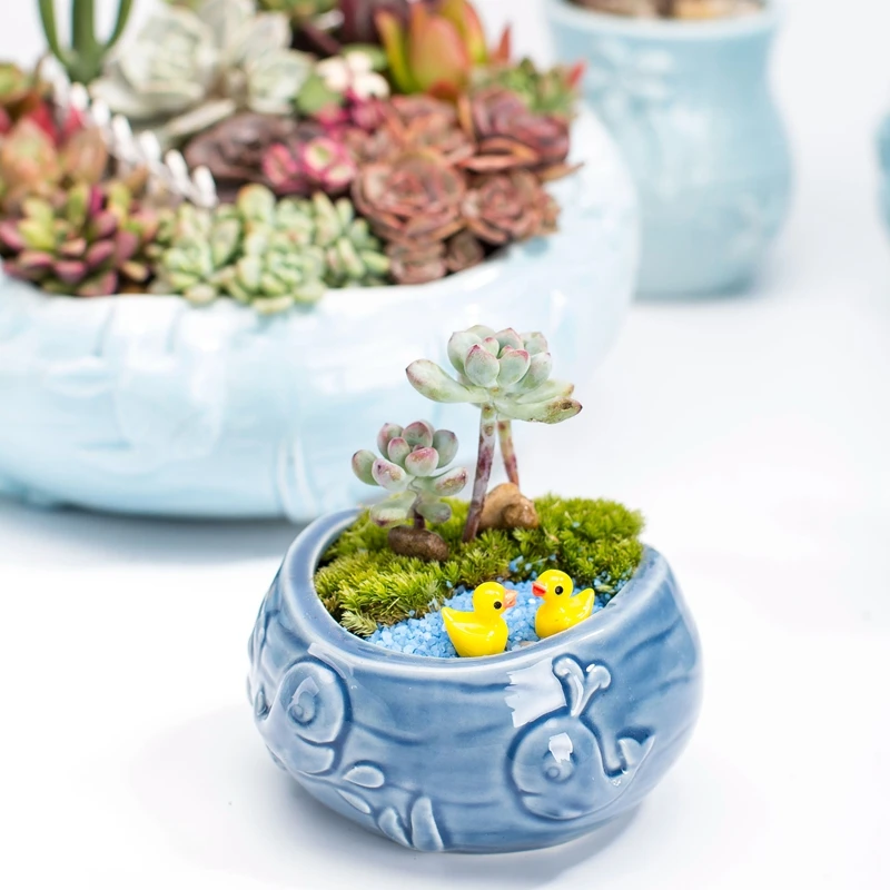 European Style Cute Fleshy Flo - Bonsai Tree Zen Garden avis et prix