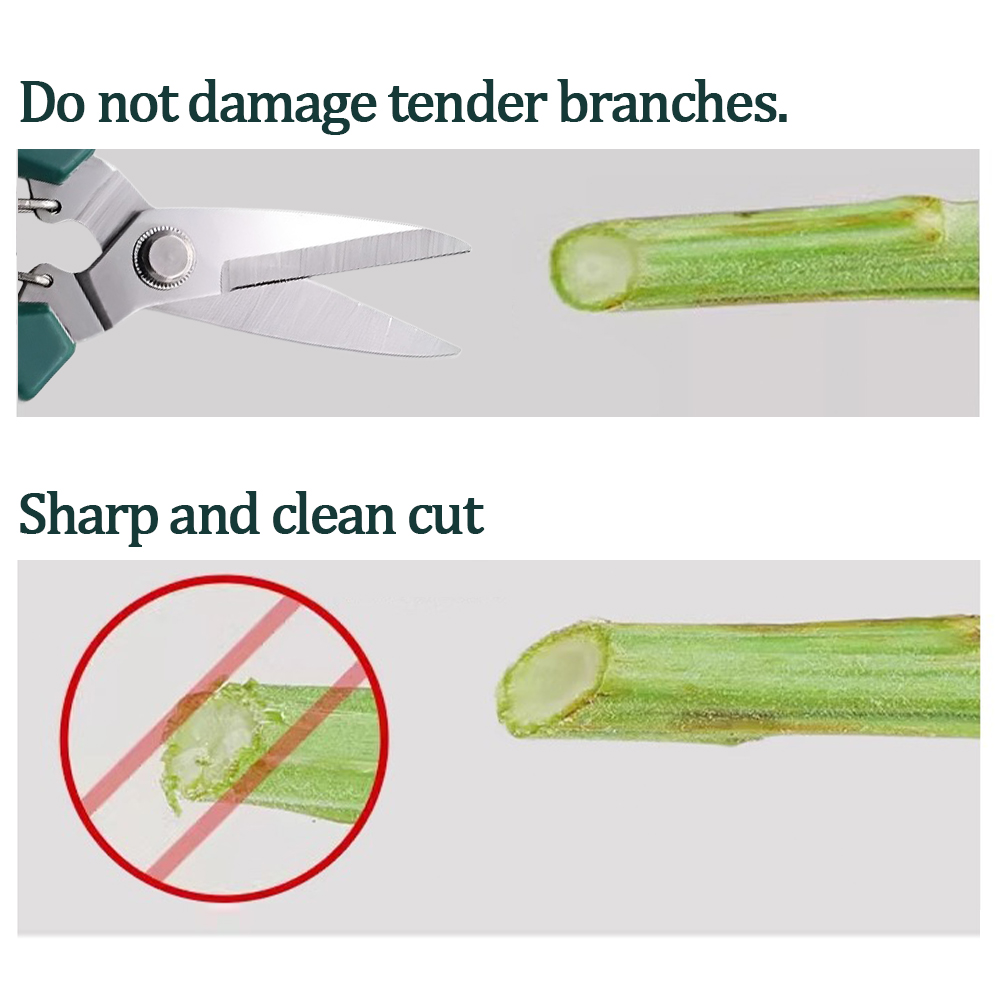 190mm Garden Pruning Shears fo - Bonsai Garden Knife avis et prix