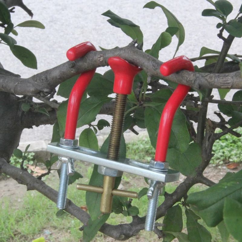 Bonsai Tools The Trees Branch  - Bonsai Garden Knife avis et prix