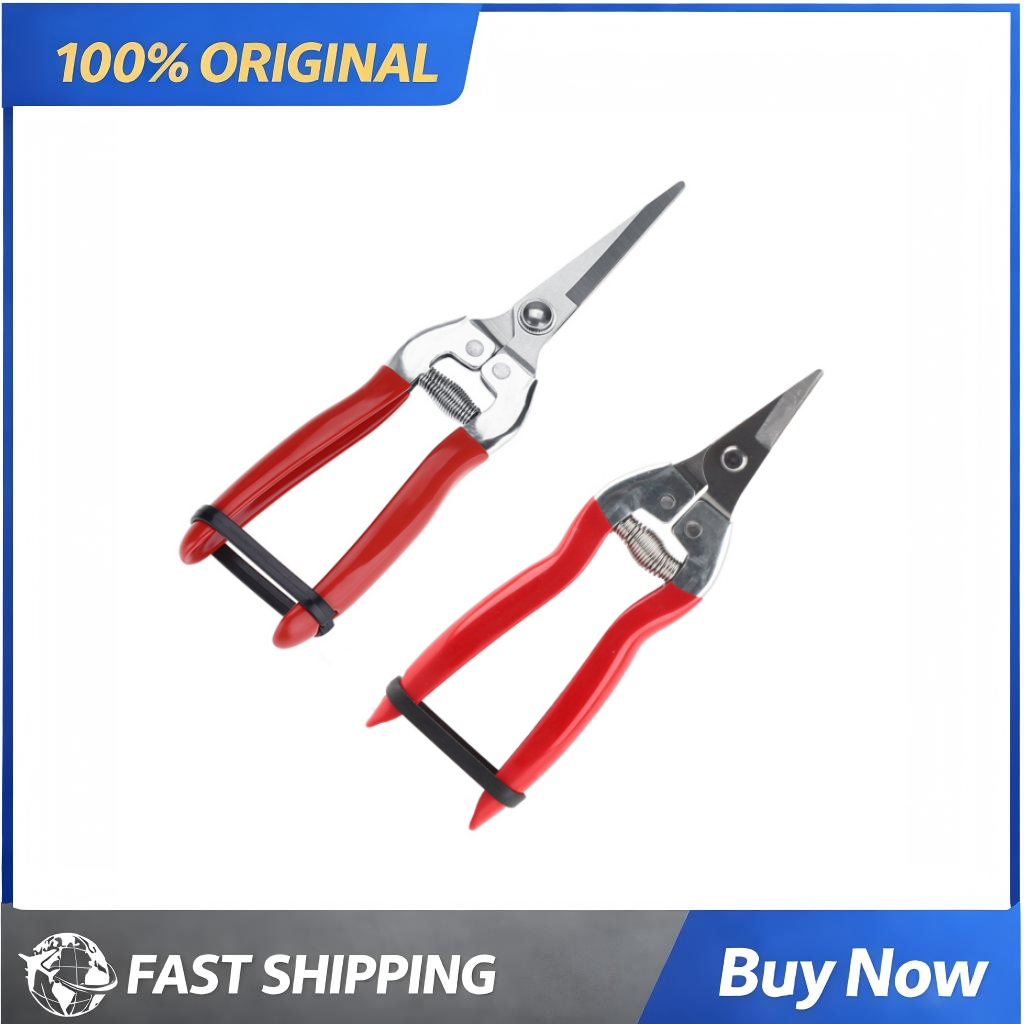 Plant Pruning Tool Made of Sta - Bonsai Garden Knife avis et prix