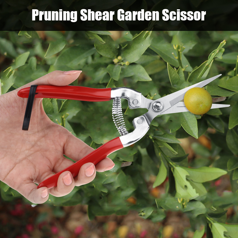 Plant Pruning Tool Made of Sta - Bonsai Garden Knife avis et prix