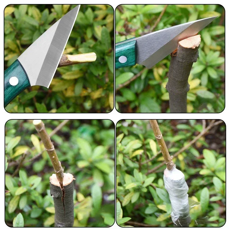 Stainless Steel Grafting Knife - Bonsai Garden Knife avis et prix