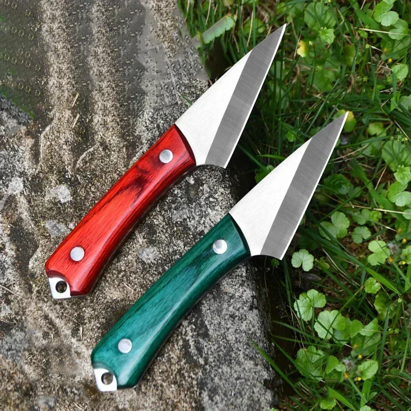 Stainless Steel Grafting Knife - Bonsai Garden Knife avis et prix