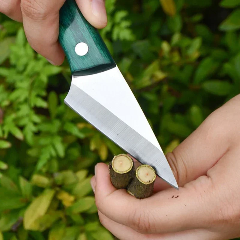 Stainless Steel Grafting Knife - Bonsai Garden Knife avis et prix