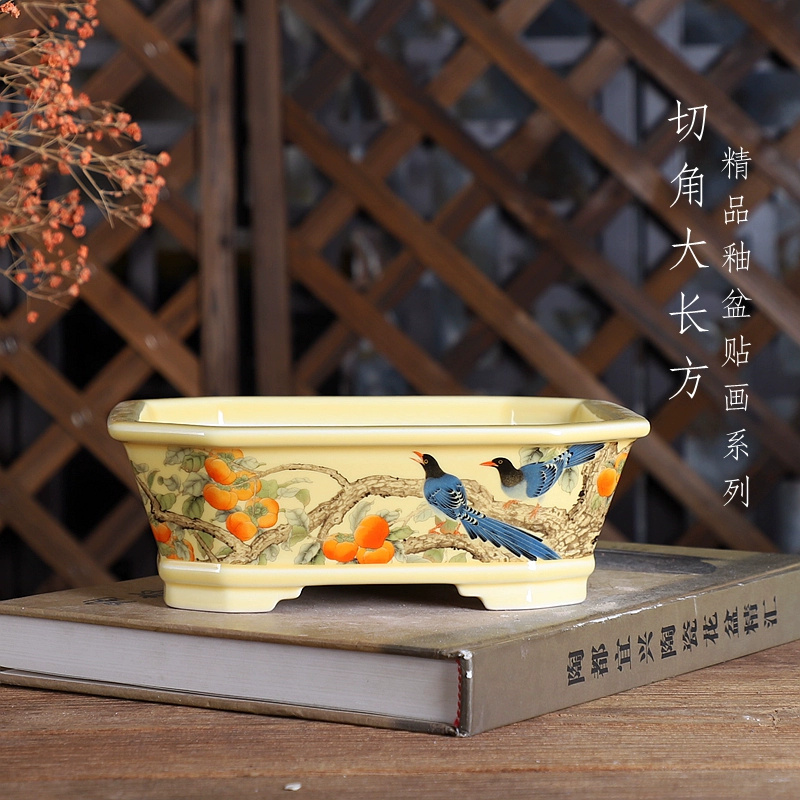 Porcelain Rectangle Bonsai Pot - Bonsai Garden Desk avis et prix