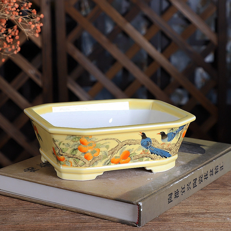 Porcelain Rectangle Bonsai Pot - Bonsai Garden Desk avis et prix