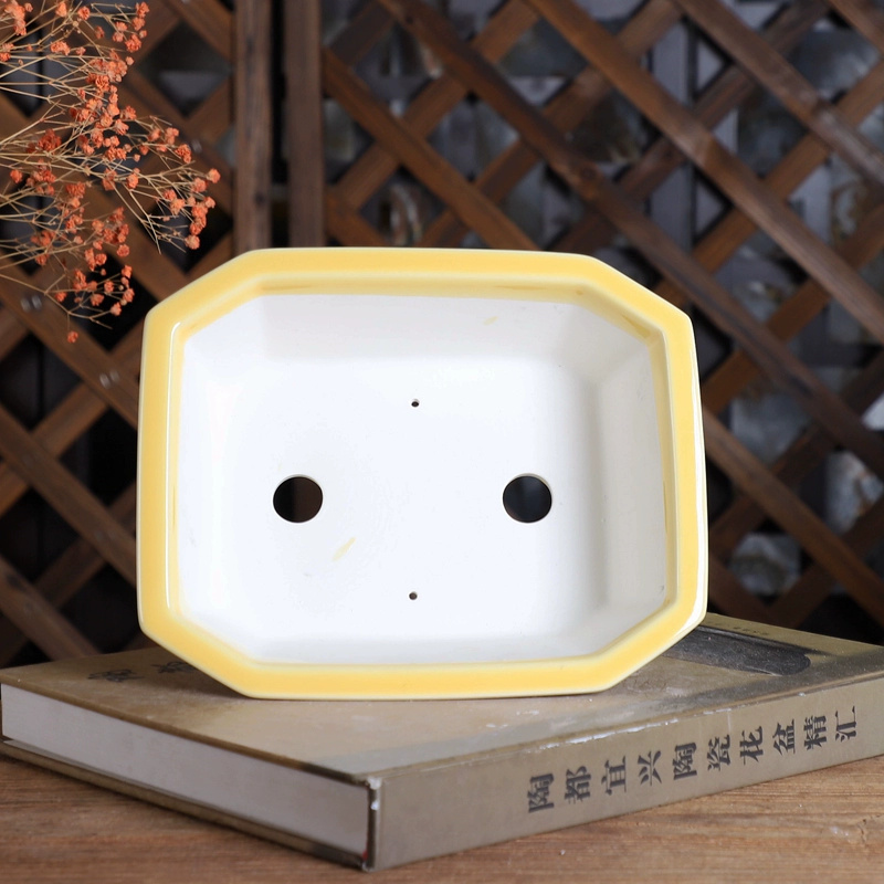 Porcelain Rectangle Bonsai Pot - Bonsai Garden Desk avis et prix