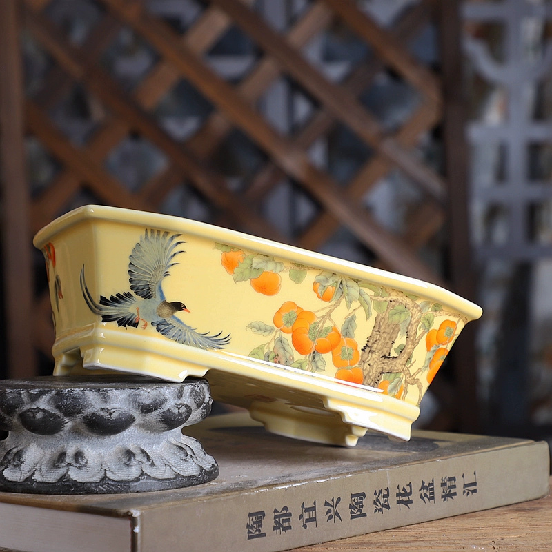 Porcelain Rectangle Bonsai Pot - Bonsai Garden Desk avis et prix