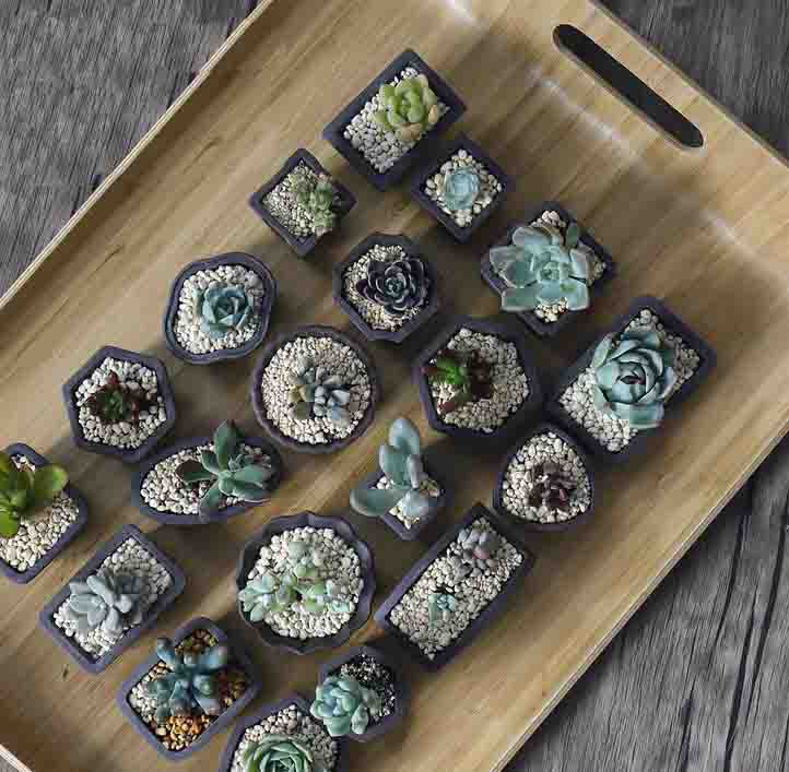 Yixing Purple Sand Flower Pot  - Bonsai Tree Zen Garden avis et prix