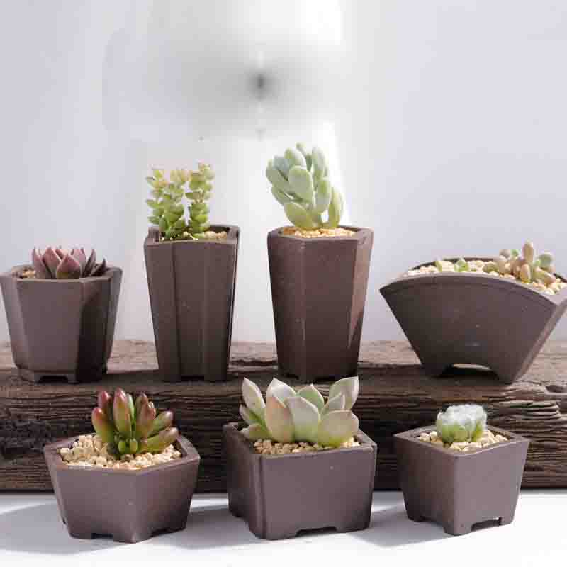 Yixing Purple Sand Flower Pot  - Bonsai Tree Zen Garden avis et prix