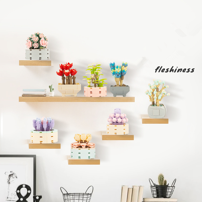 DIY MOC Potted Plants Succulen - Bonsai Garden Experts avis et prix