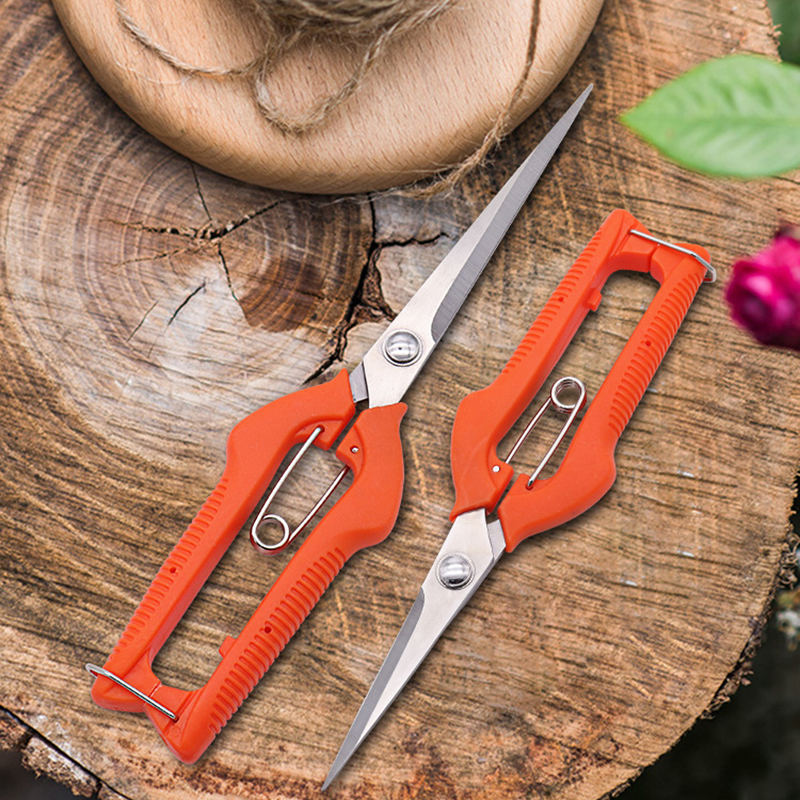 Grape Scissors Pruning Shears  - Bonsai Garden Knife avis et prix