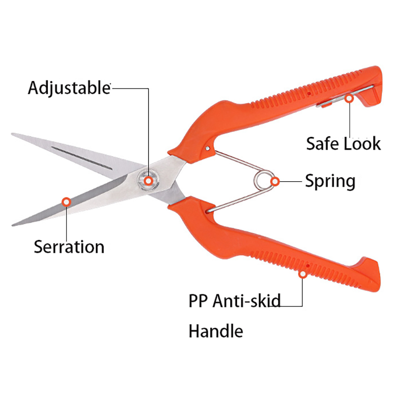 Grape Scissors Pruning Shears  - Bonsai Garden Knife avis et prix
