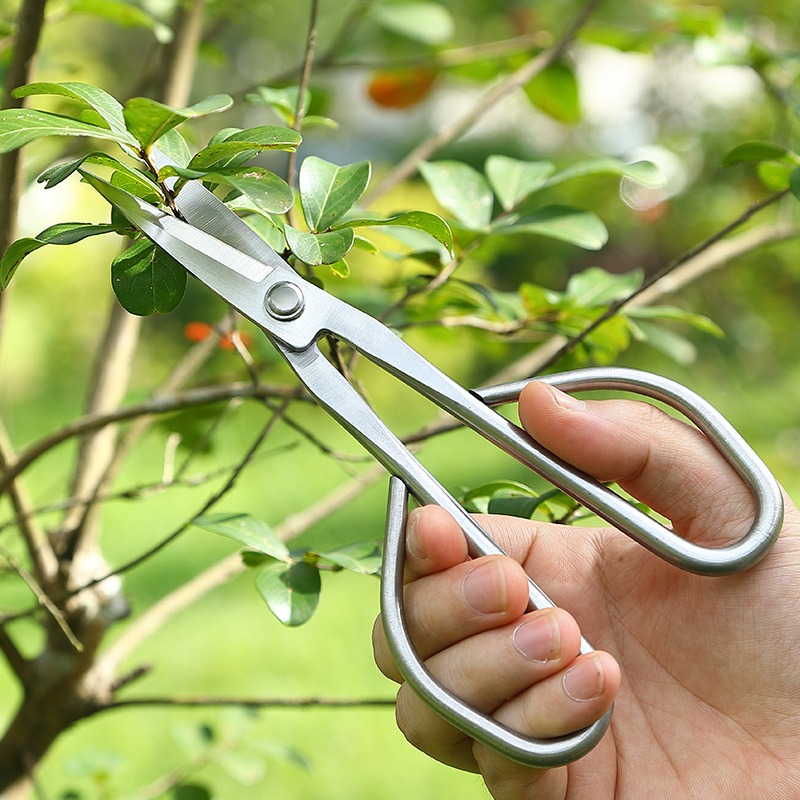 Tender Leaf Scissors Bonsai To - Bonsai Garden Knife avis et prix