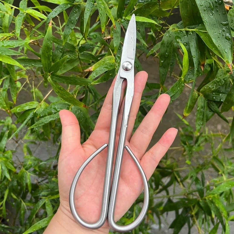 Tender Leaf Scissors Bonsai To - Bonsai Garden Knife avis et prix