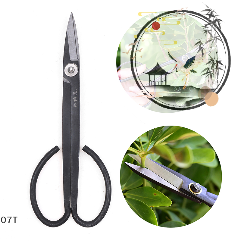 Long Handle Scissors Bonsai To - Bonsai Garden Knife avis et prix