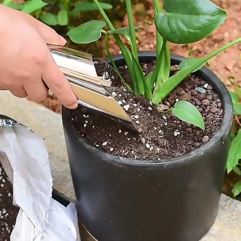 Soil Scoop 3X Stainless Steel  - Soil Scoop Tool avis et prix