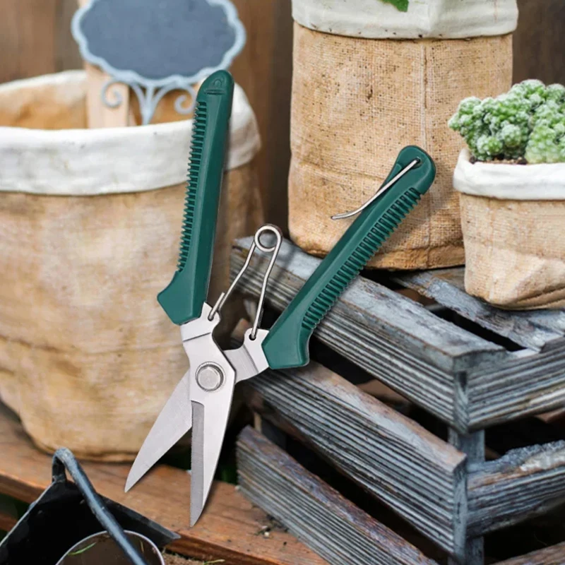 1 Pc Garden Straight Head Prun - Bonsai Garden Knife avis et prix