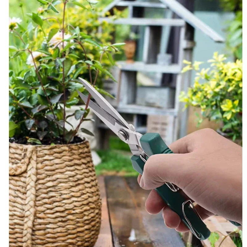 1 Pc Garden Straight Head Prun - Bonsai Garden Knife avis et prix