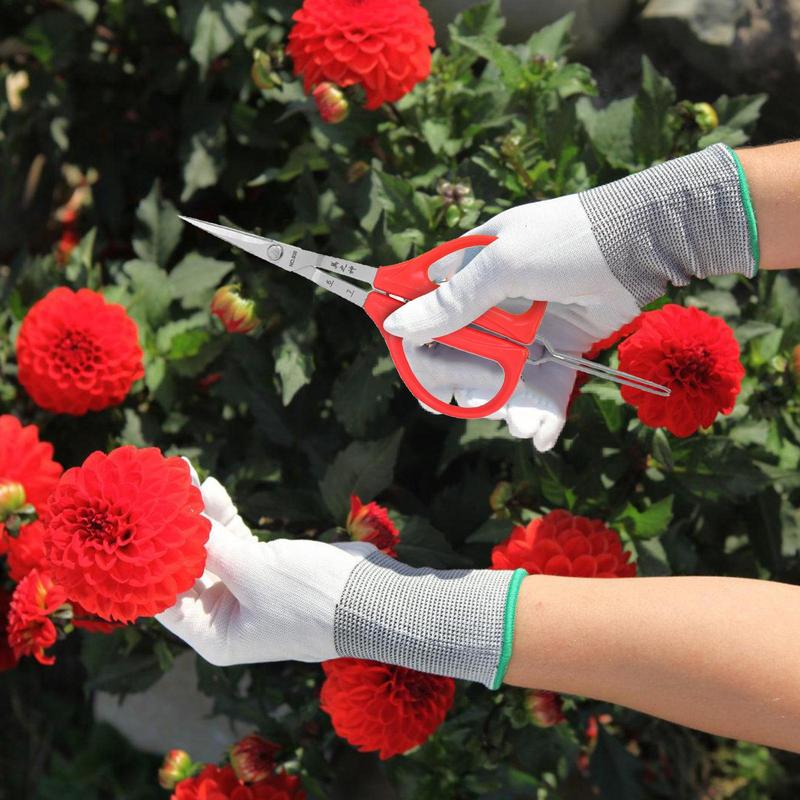 Grape Scissors Pruning Shears  - Bonsai Garden Knife avis et prix