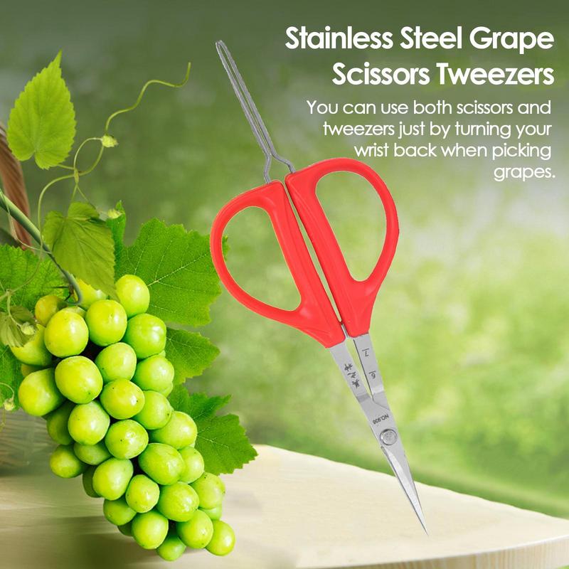 Grape Scissors Pruning Shears  - Bonsai Garden Knife avis et prix