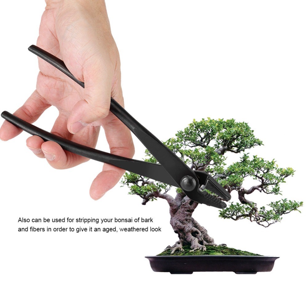 Professional Manganese Steel A - Bonsai Garden Knife avis et prix