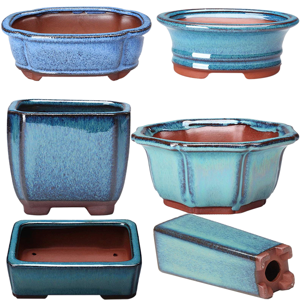 Chinese Style Bonsai Pots Brea - Training Pot Ceramic avis et prix