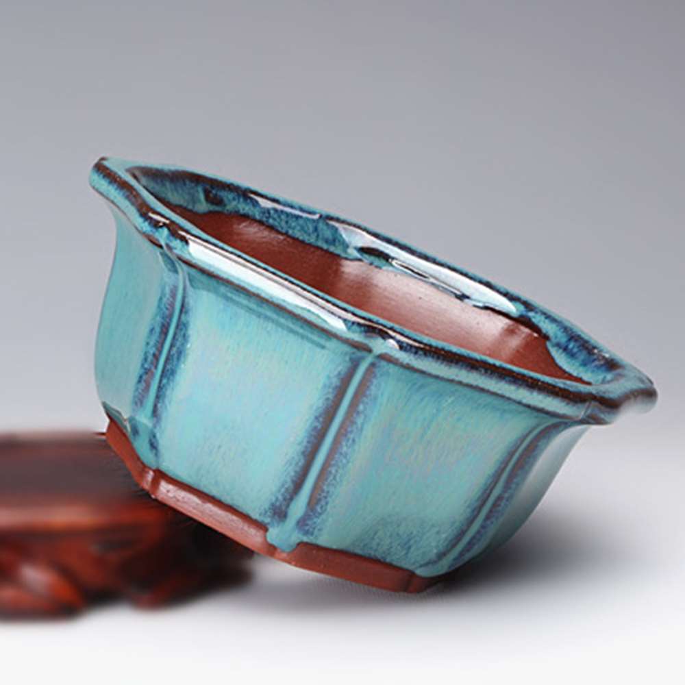 Chinese Style Bonsai Pots Brea - Training Pot Ceramic avis et prix