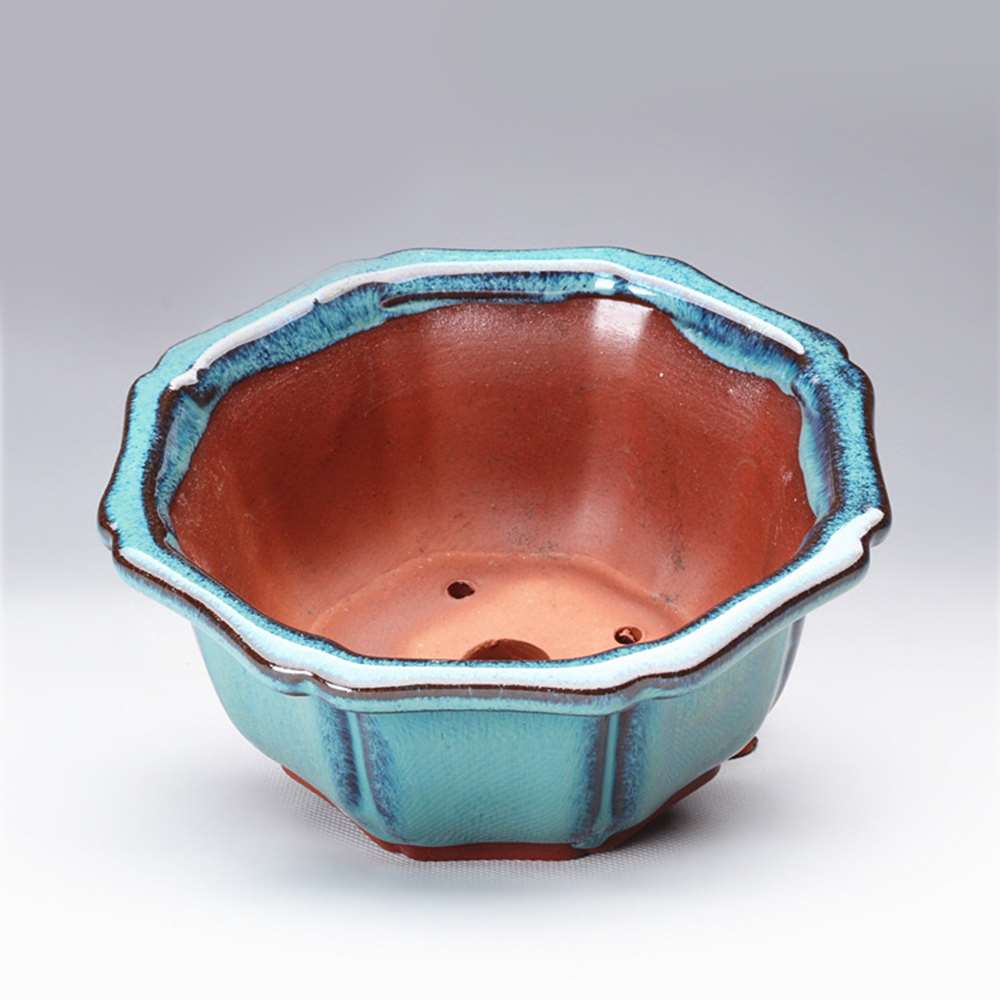 Chinese Style Bonsai Pots Brea - Training Pot Ceramic avis et prix