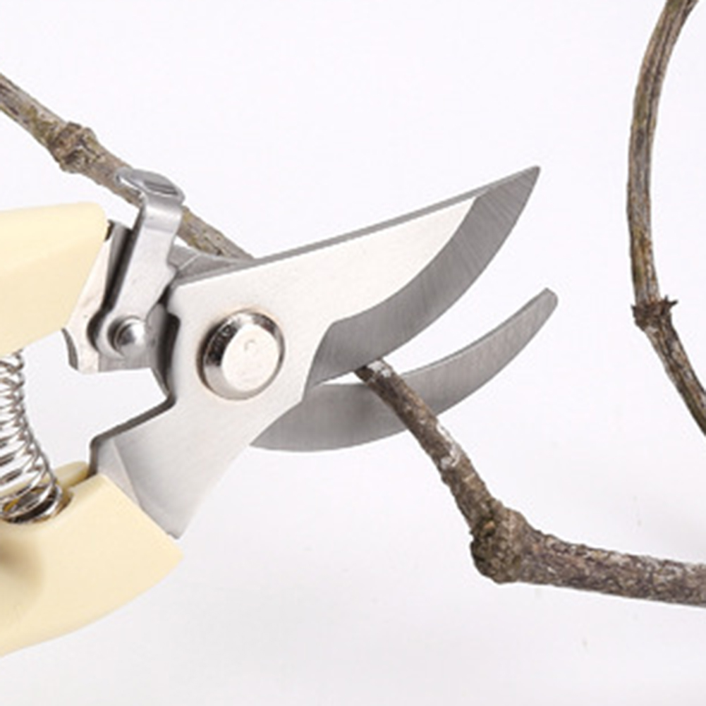 Pruner Shears Hand Tools Bonsa - Bonsai Garden Knife avis et prix