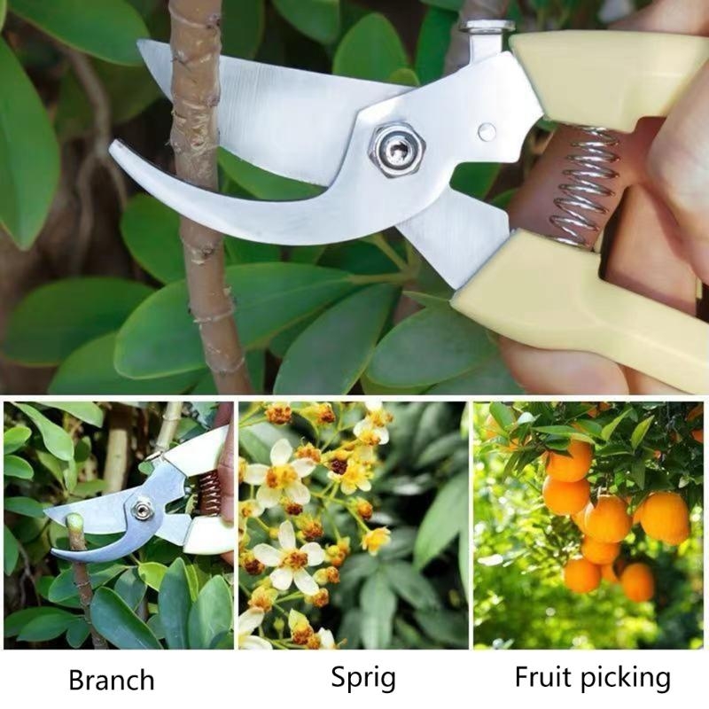 Fruit Bonsai Picking Scissors  - Bonsai Garden Hours avis et prix