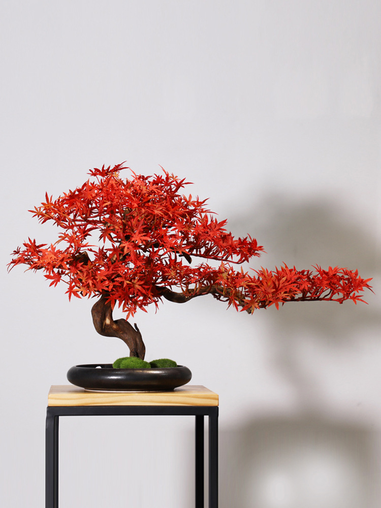 Simulation Welcome Pine Landsc - Bonsai Tree Zen Garden avis et prix