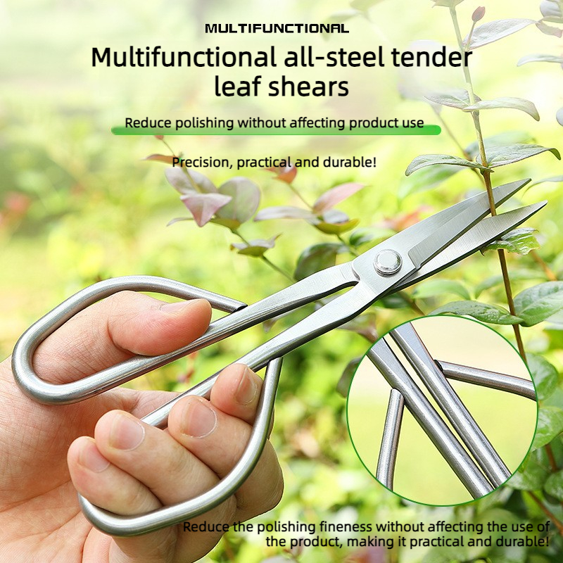 All Steel Scissors Garden Bons - Bonsai Garden Knife avis et prix