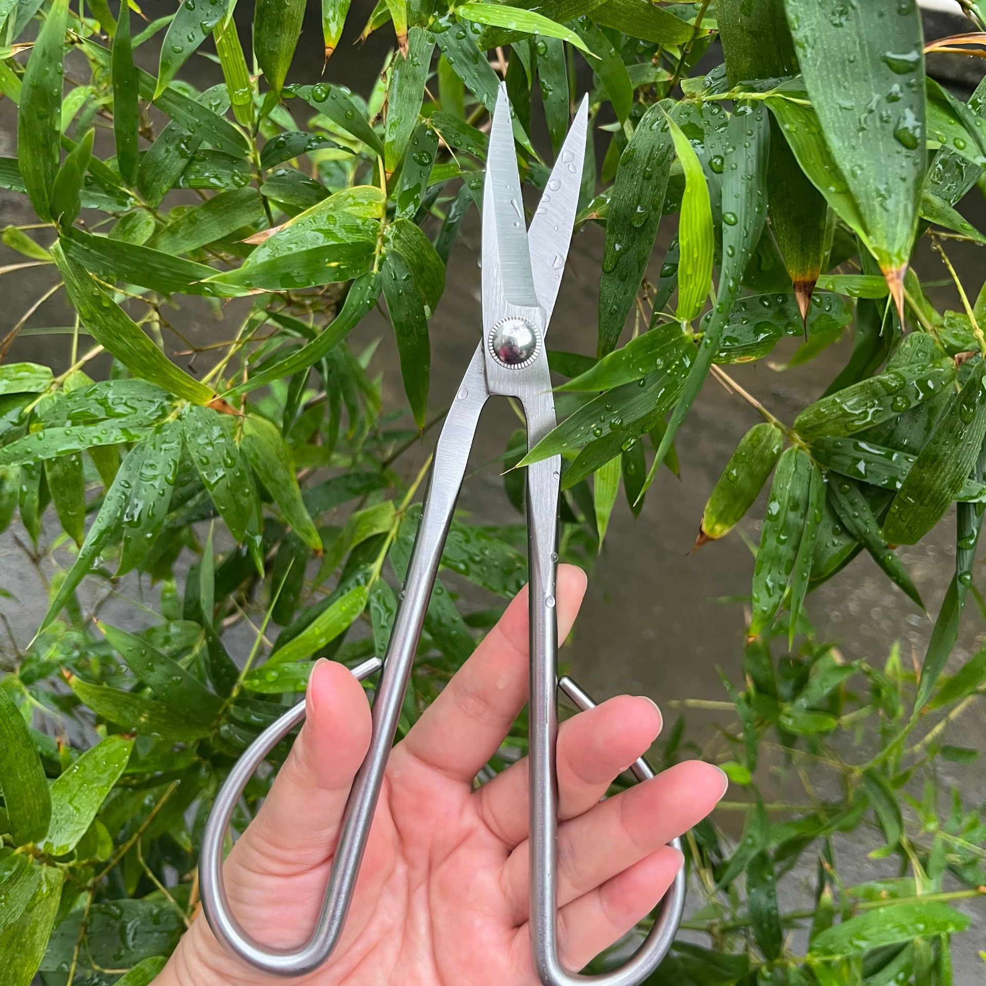 All Steel Scissors Garden Bons - Bonsai Garden Knife avis et prix